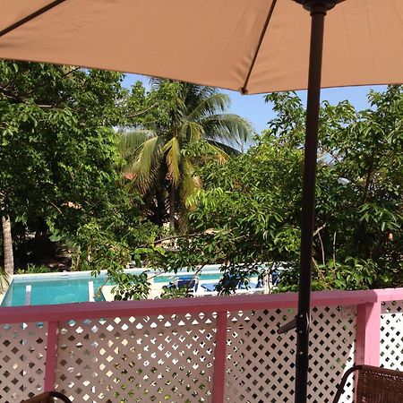 Hummingbirds Cabins Caye Caulker Camera foto