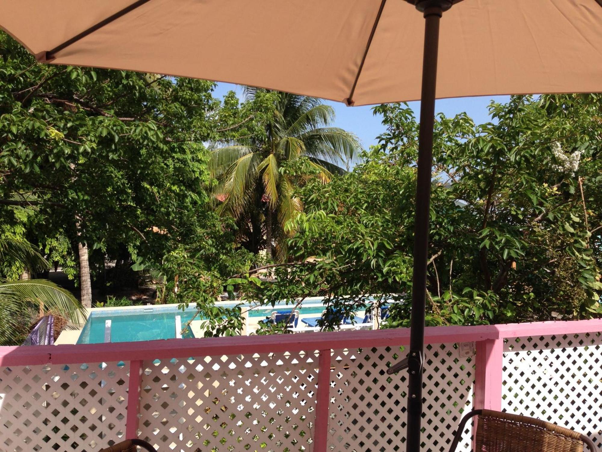 Hummingbirds Cabins Caye Caulker Camera foto