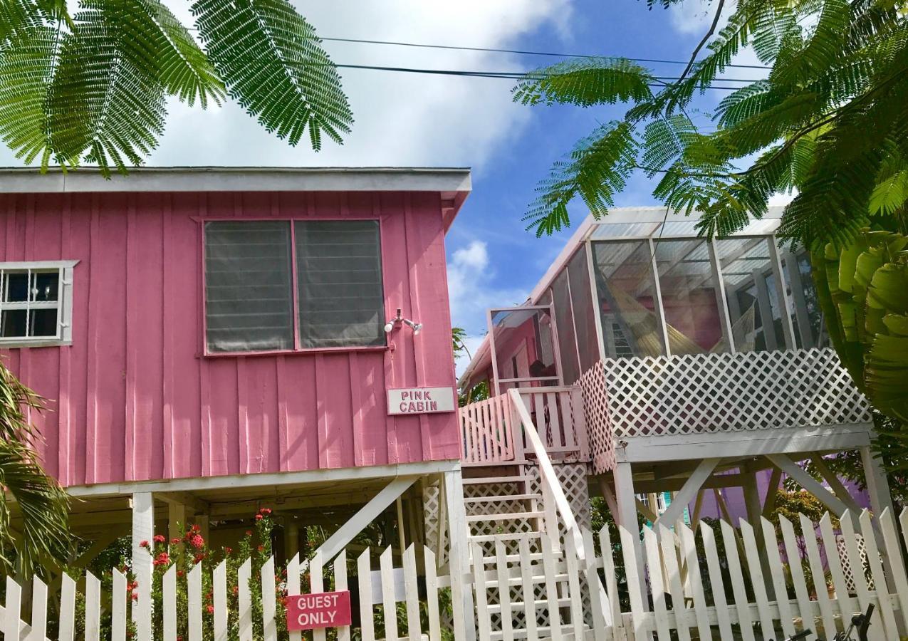 Hummingbirds Cabins Caye Caulker Camera foto